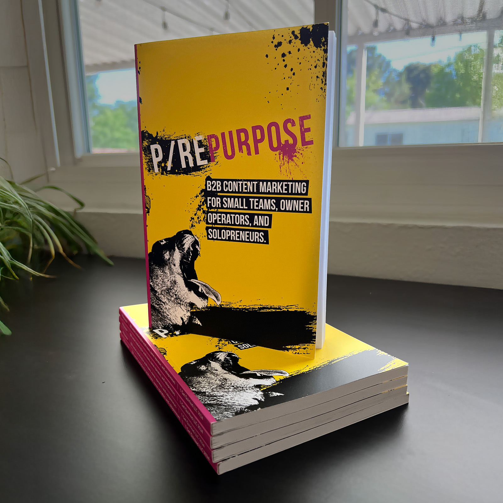 P/Repurpose P/Repurpose book picture. 4 books stacked, laying down. 1 book standing atop them, slightly open.